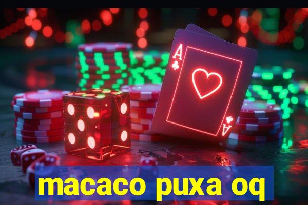 macaco puxa oq